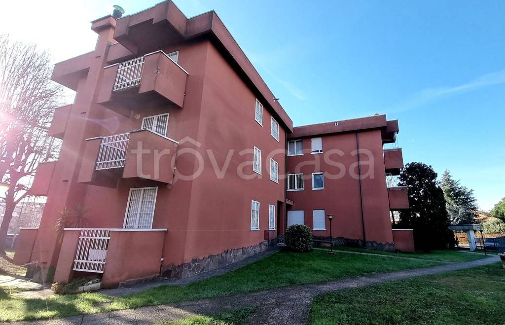 immagine annuncio 6 di 15