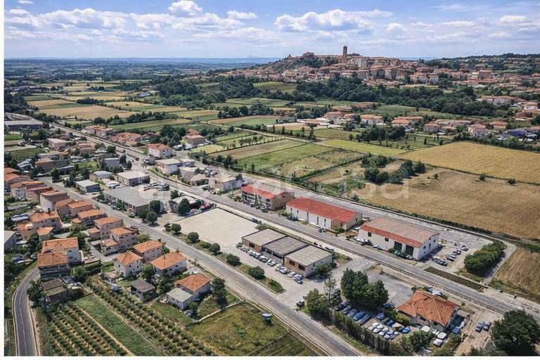 immagine annuncio 2 di 8