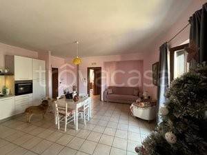 immagine annuncio 2 di 12