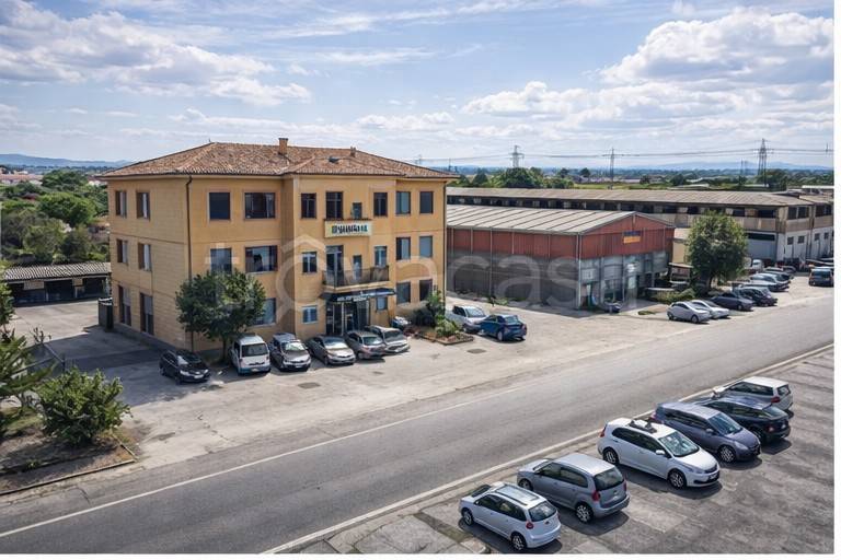 immagine annuncio 1 di 8