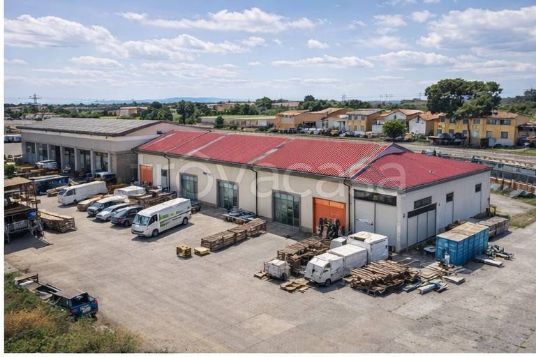 immagine annuncio 3 di 8