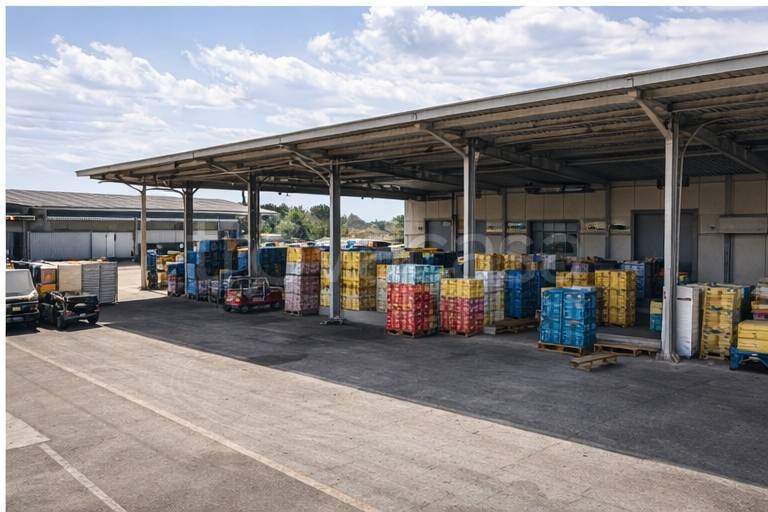 immagine annuncio 7 di 8