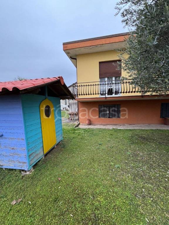 immagine annuncio 11 di 15