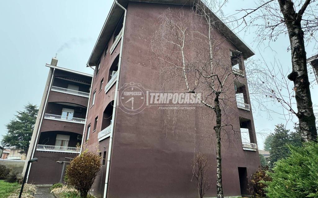 immagine annuncio 11 di 13