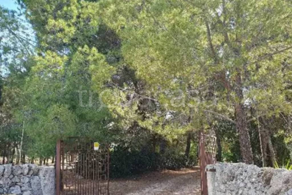 immagine annuncio 4 di 14