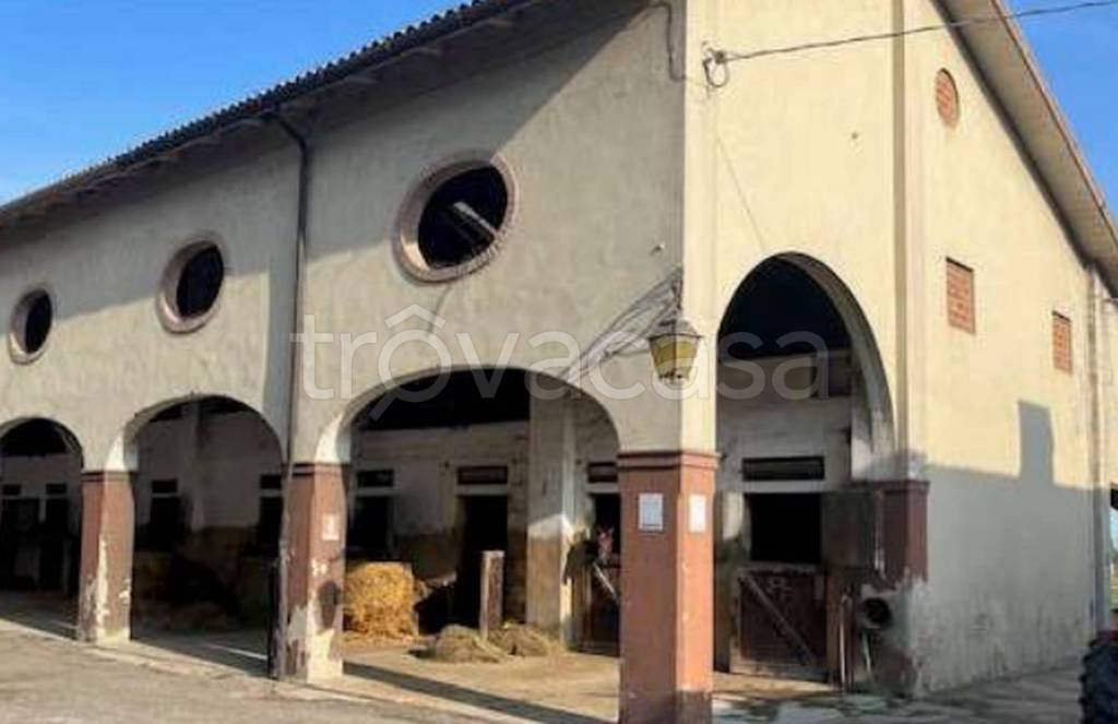 immagine annuncio 6 di 11