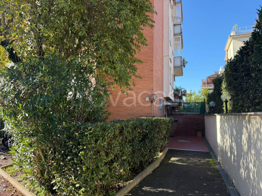 immagine annuncio 4 di 6