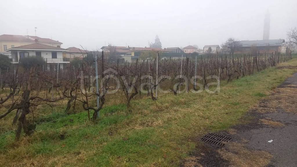 immagine annuncio 3 di 4