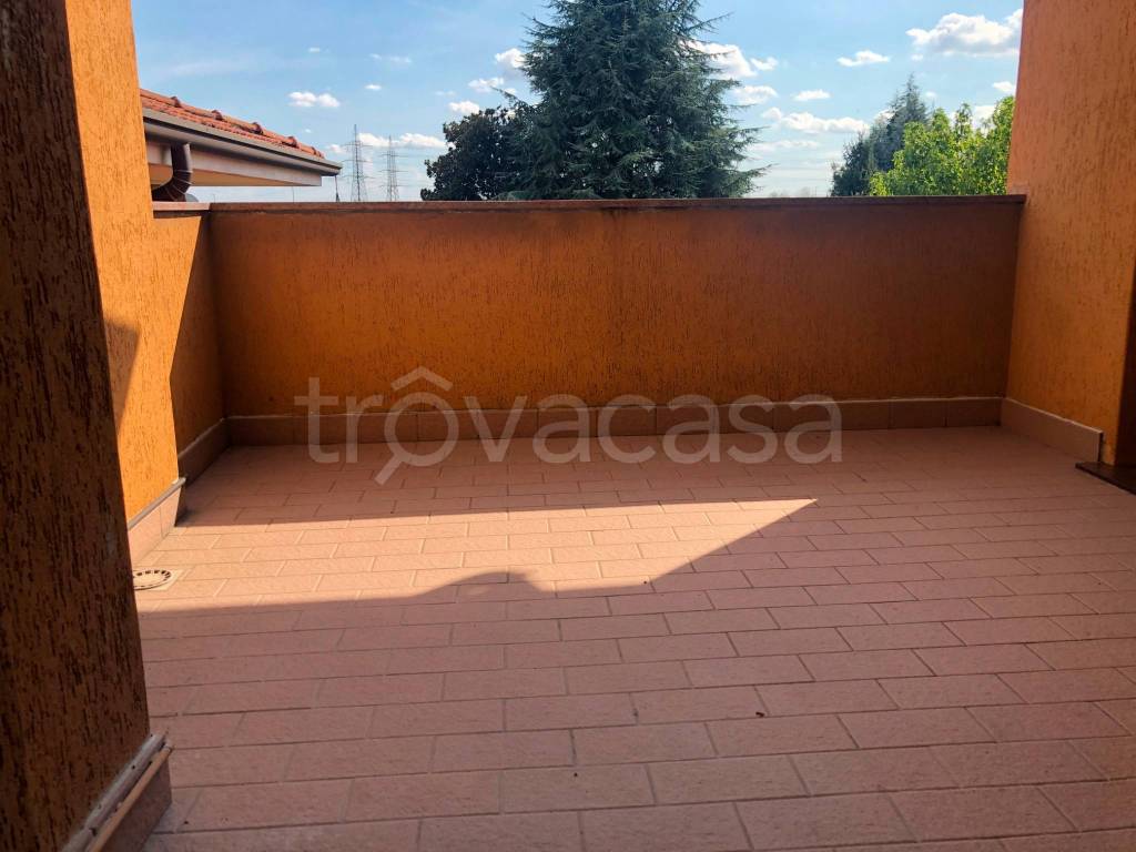 immagine annuncio 7 di 15