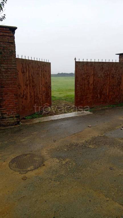 immagine annuncio 4 di 14