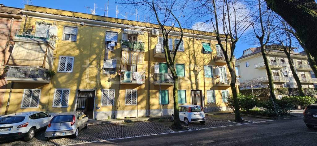 immagine annuncio 9 di 11