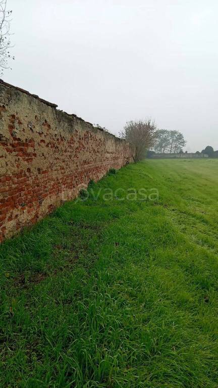 immagine annuncio 10 di 14