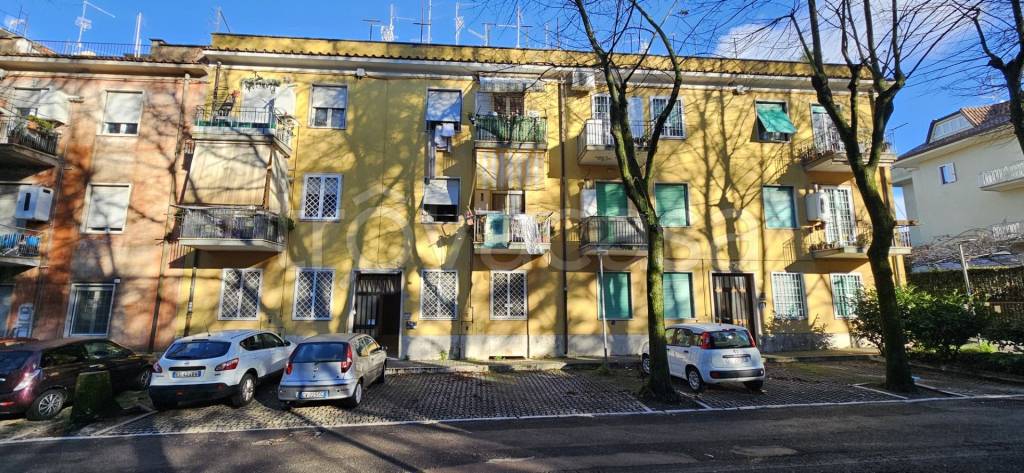 immagine annuncio 10 di 11