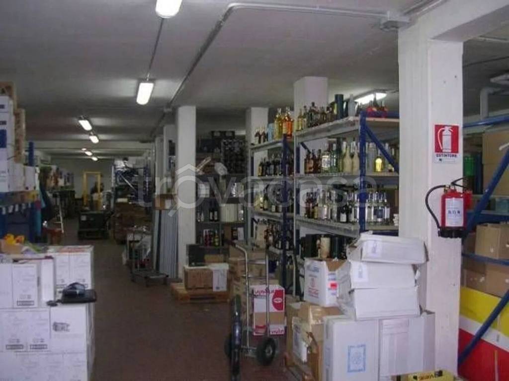 immagine annuncio 5 di 6