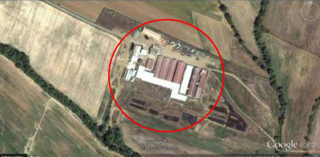 immagine annuncio 2 di 11