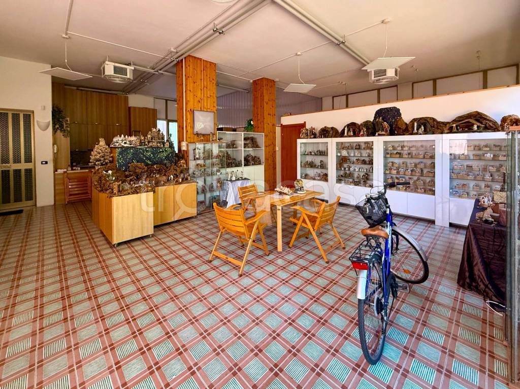 immagine annuncio 8 di 14