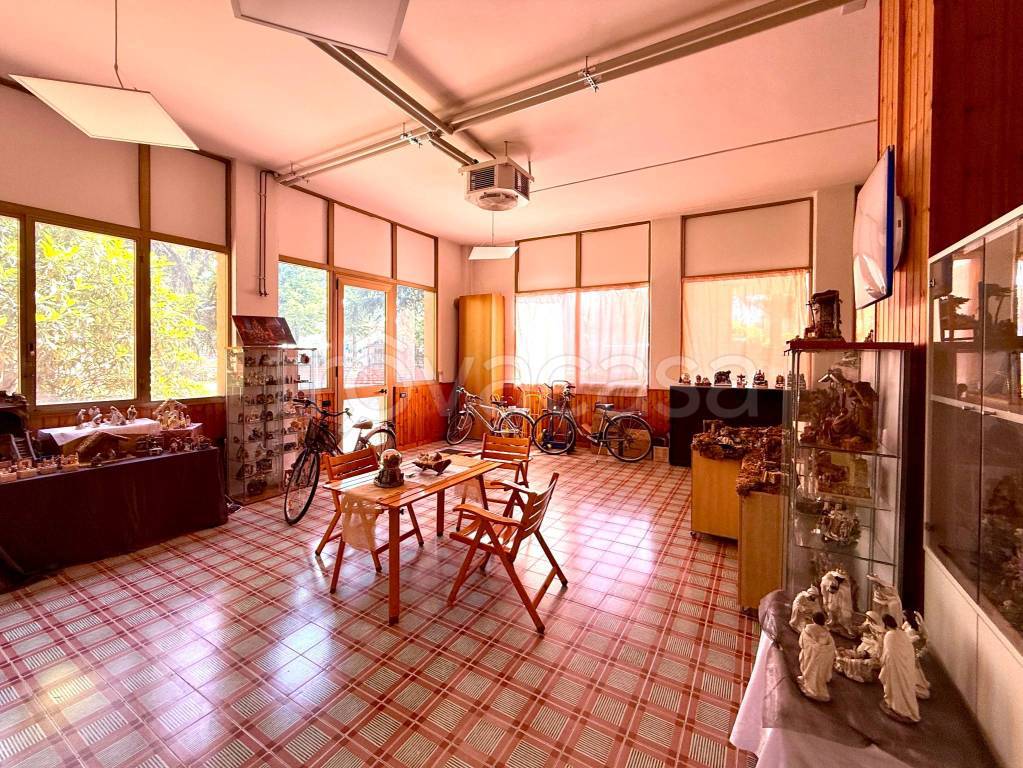 immagine annuncio 9 di 14