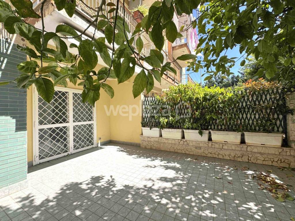 immagine annuncio 9 di 14