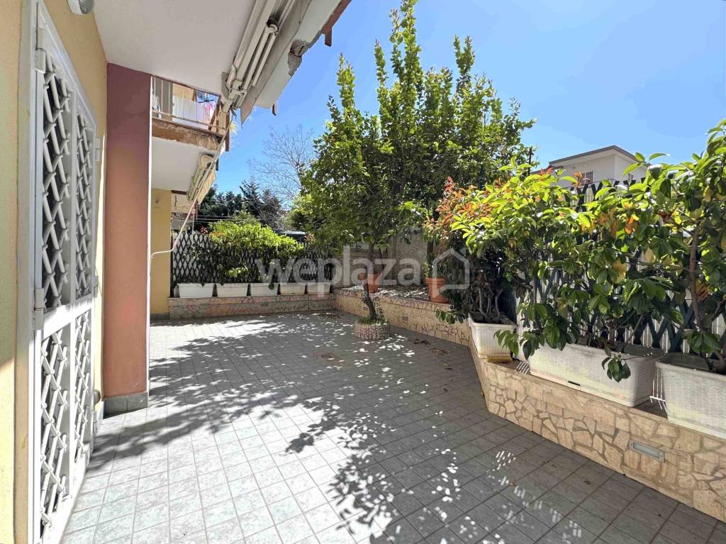 immagine annuncio 11 di 14