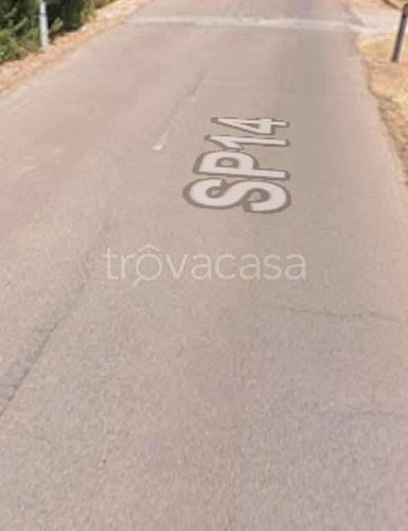 immagine annuncio 10 di 15