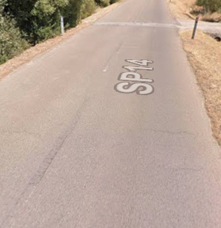 immagine annuncio 11 di 15