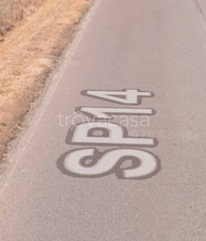 immagine annuncio 13 di 15