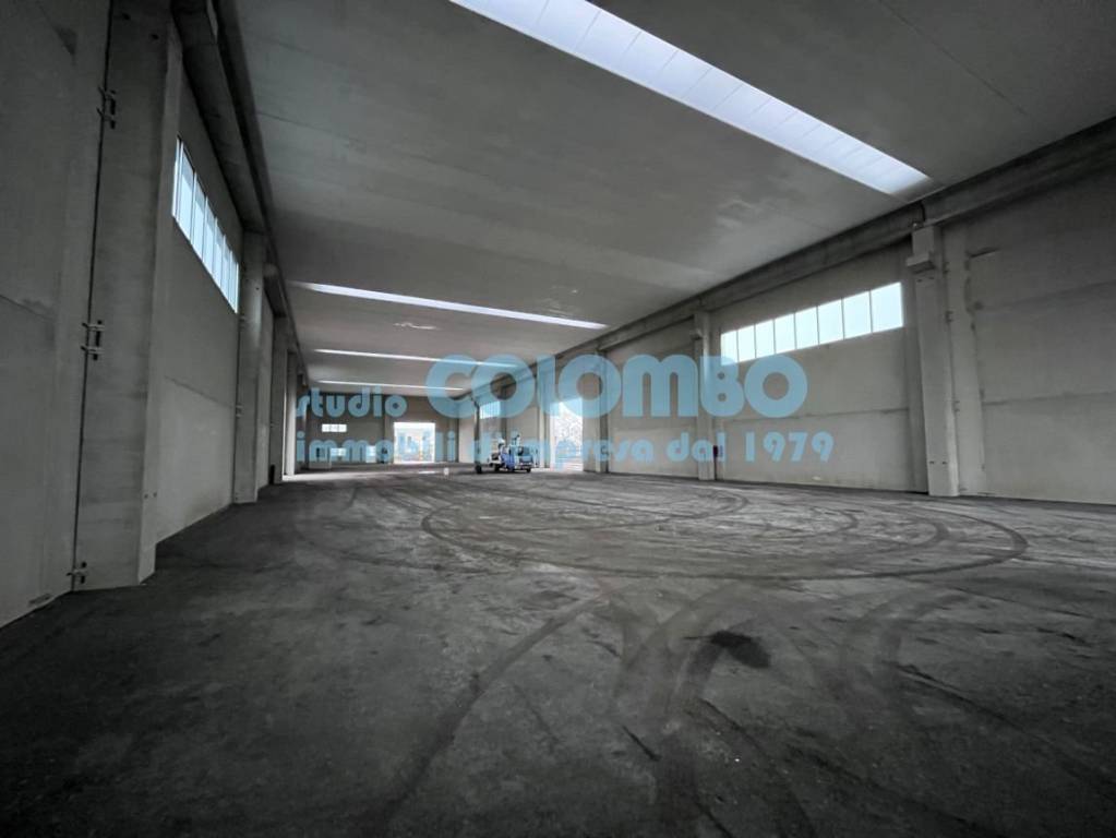 immagine annuncio 7 di 8