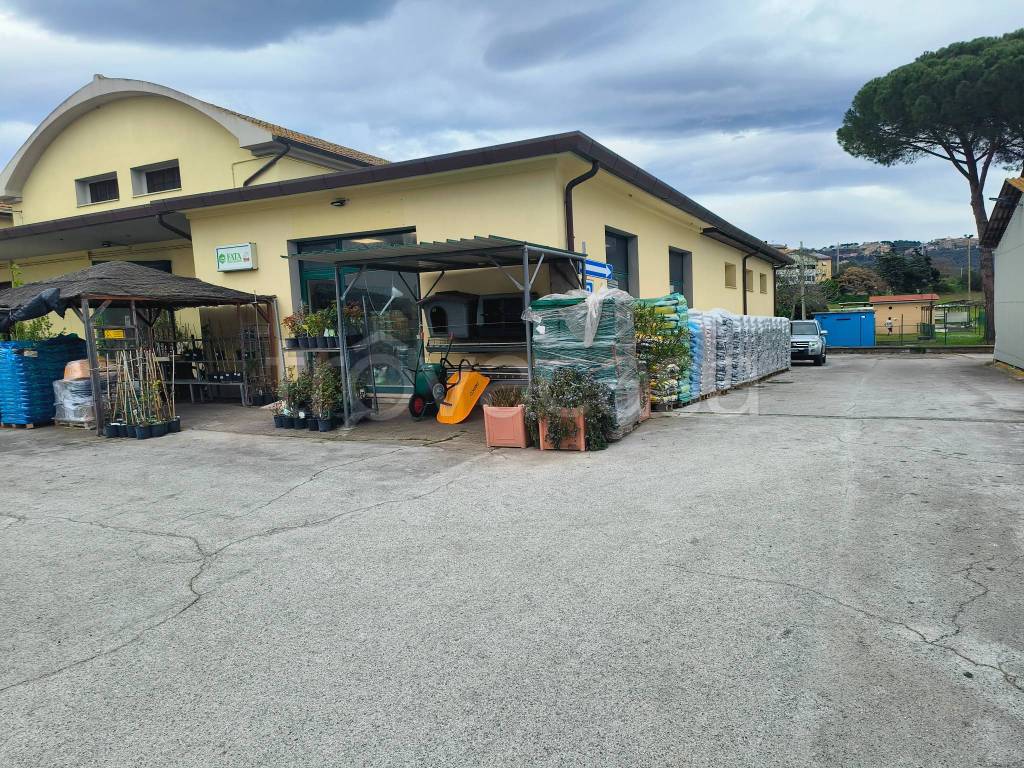 immagine annuncio 4 di 12