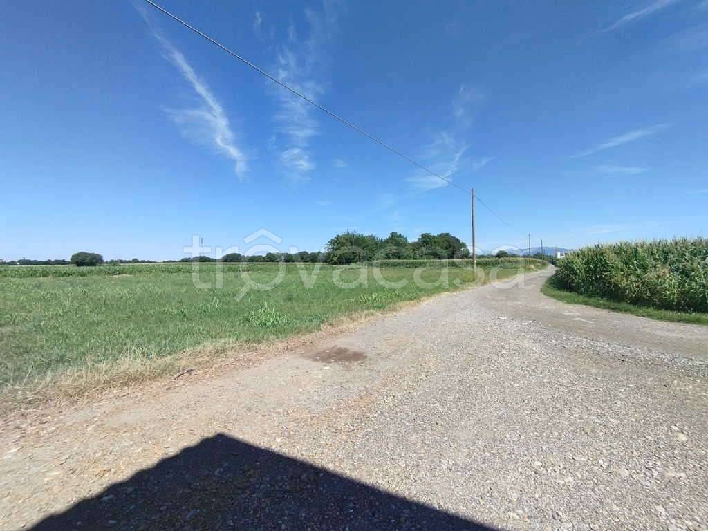 immagine annuncio 2 di 14