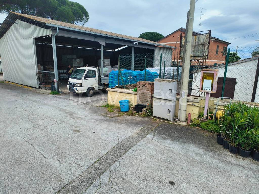 immagine annuncio 5 di 12