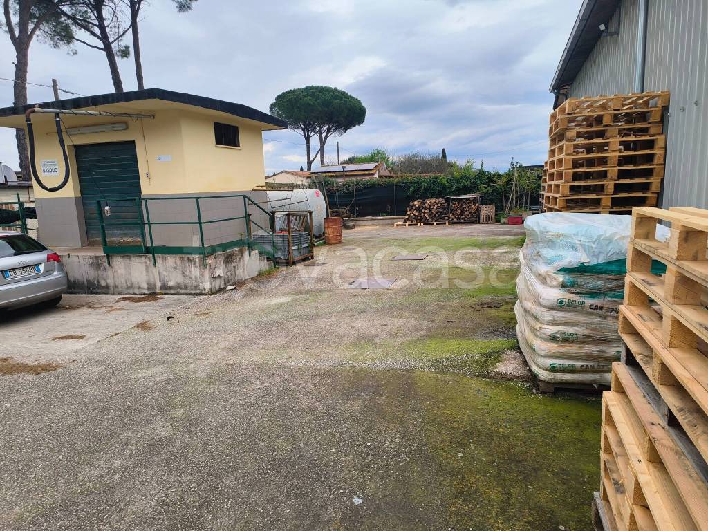 immagine annuncio 6 di 12