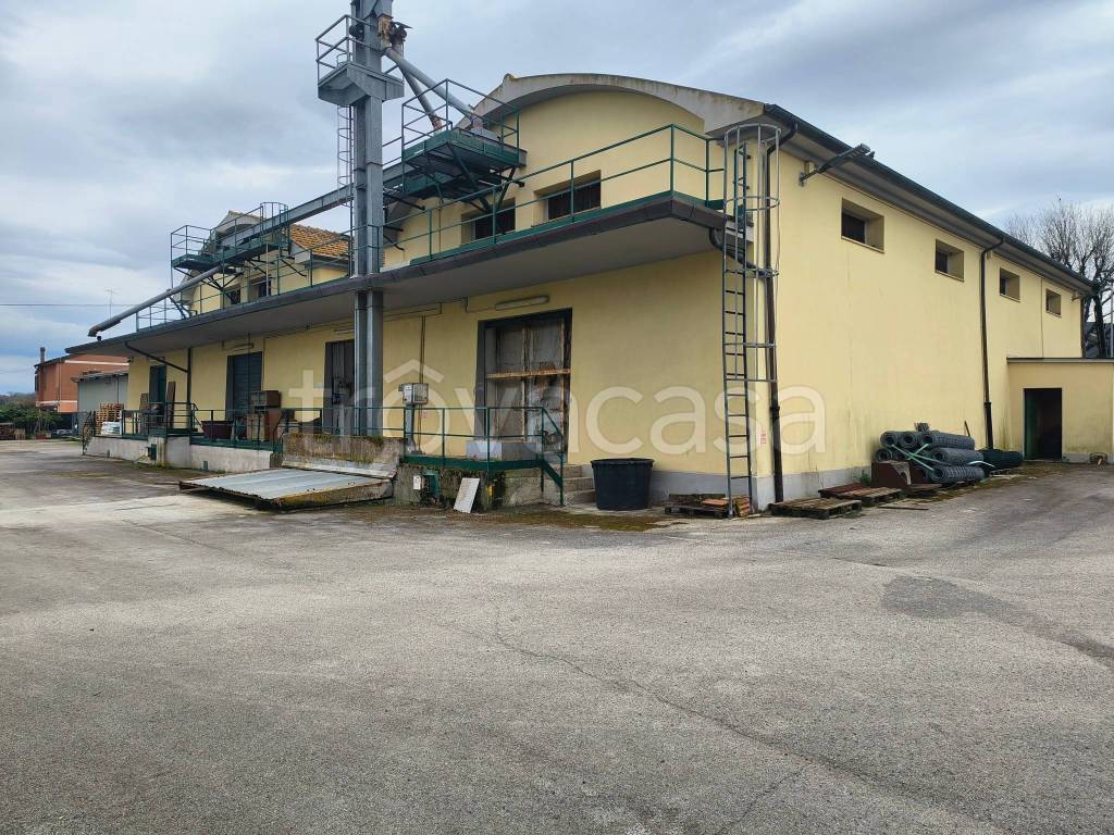 immagine annuncio 1 di 12