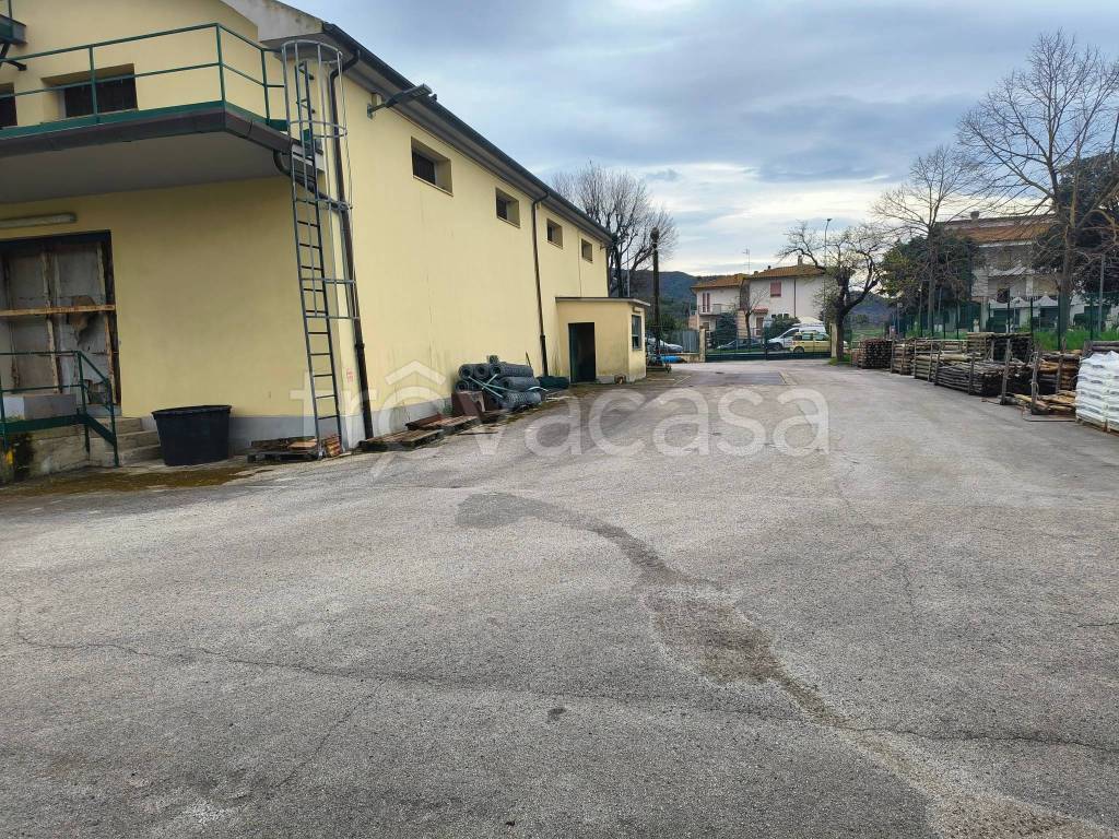 immagine annuncio 8 di 12