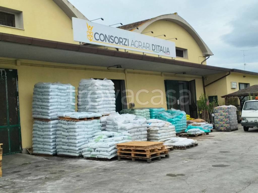 immagine annuncio 10 di 12