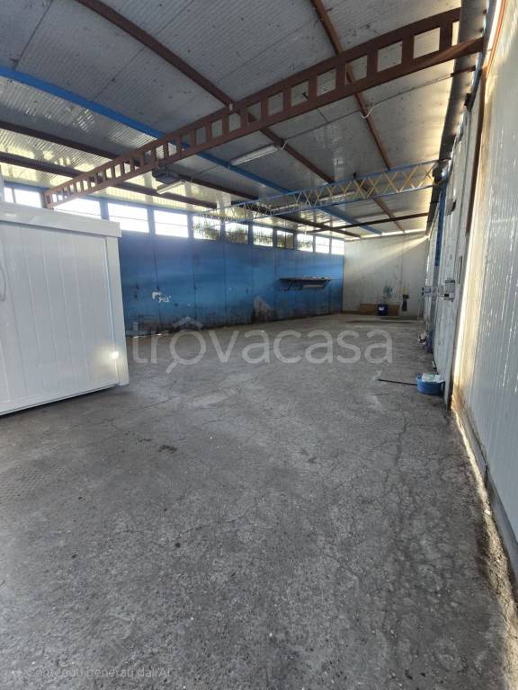 immagine annuncio 2 di 4