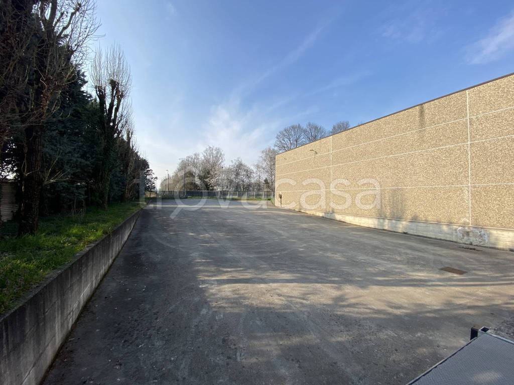 immagine annuncio 5 di 15