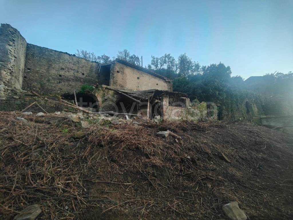 immagine annuncio 7 di 8