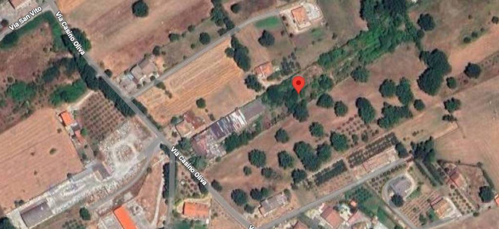 immagine annuncio 7 di 13