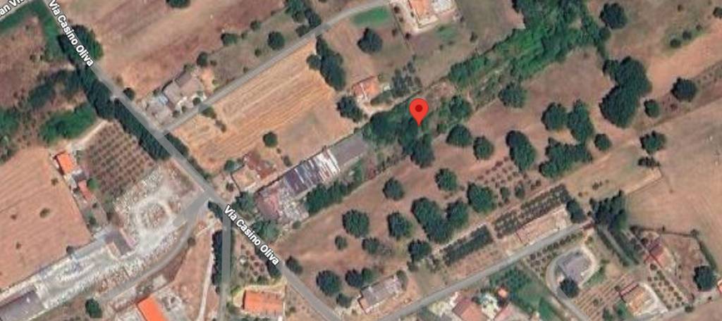 immagine annuncio 8 di 13