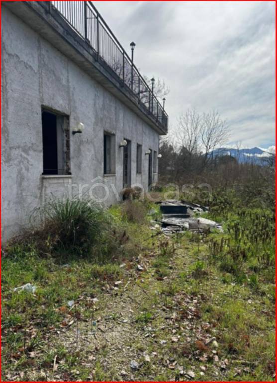 immagine annuncio 3 di 12