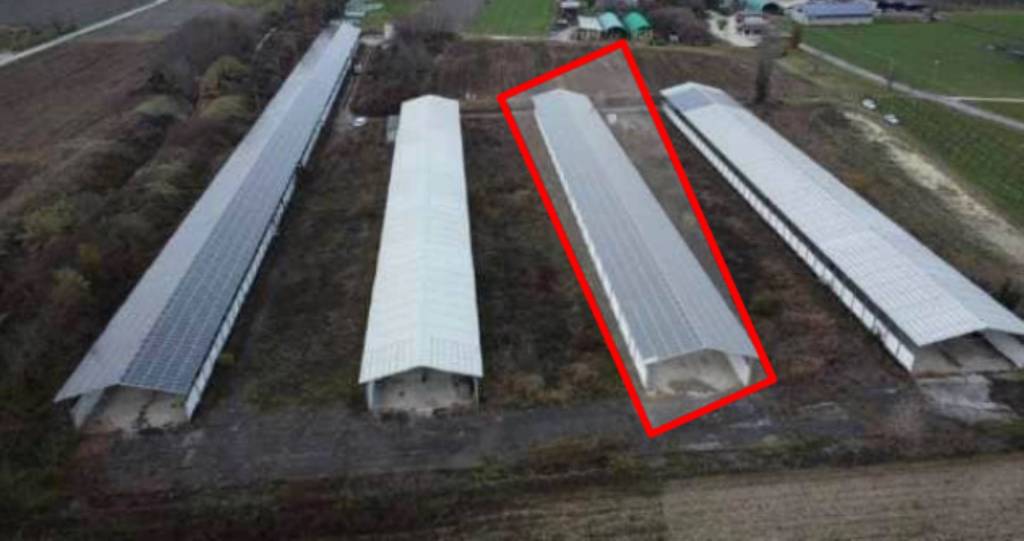 immagine annuncio 2 di 12