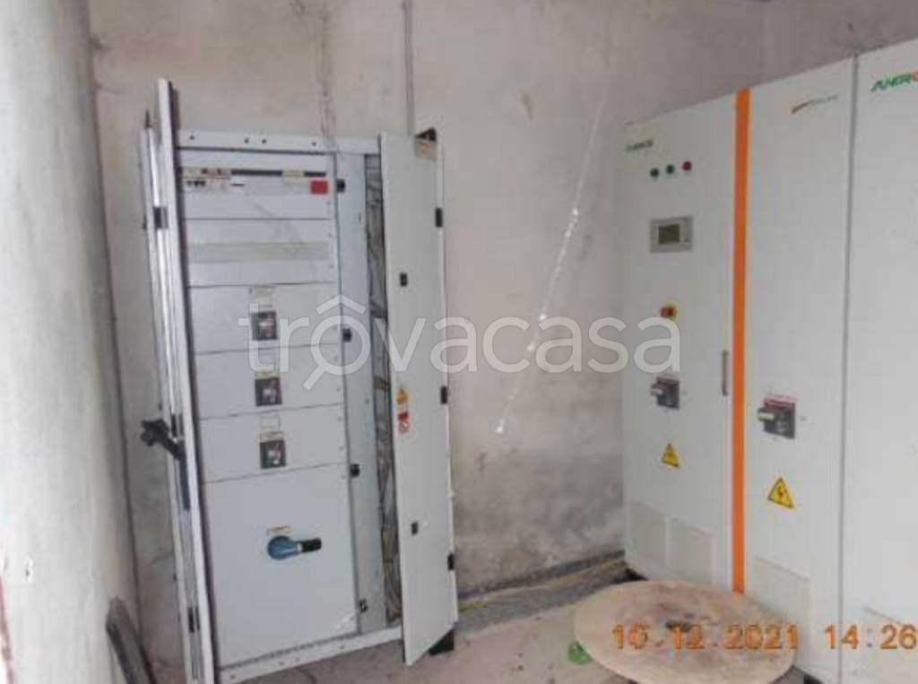 immagine annuncio 3 di 12