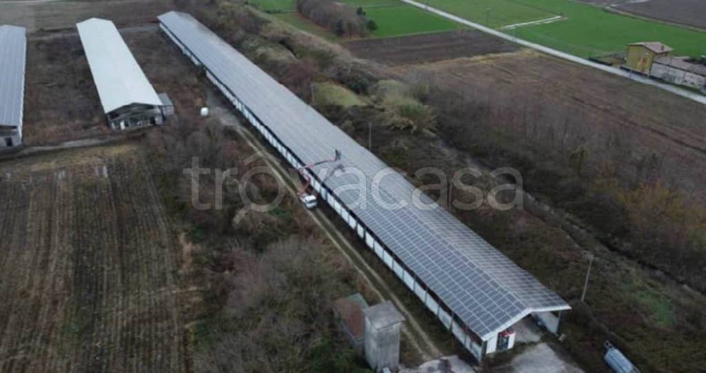 immagine annuncio 4 di 12