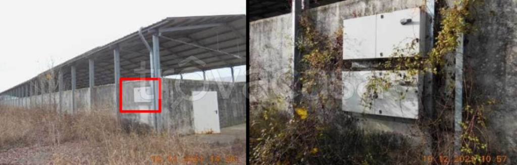 immagine annuncio 5 di 12