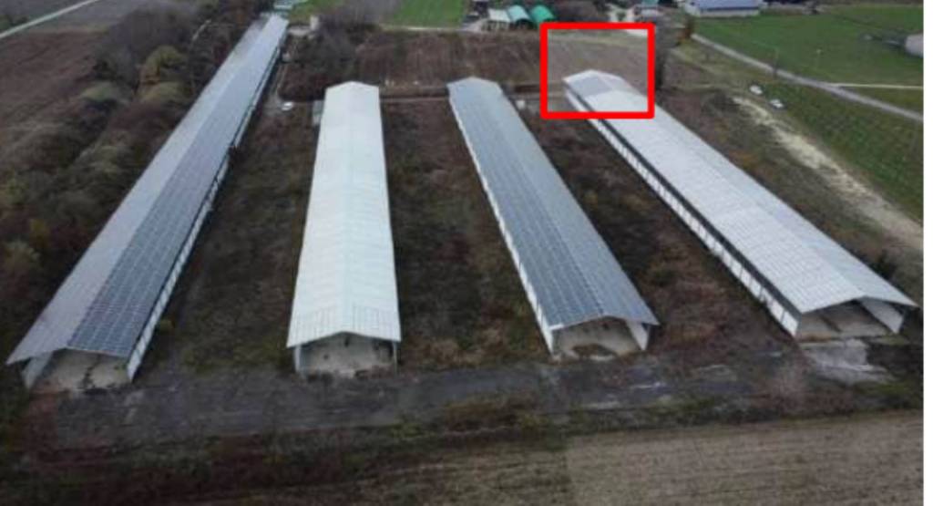 immagine annuncio 6 di 12