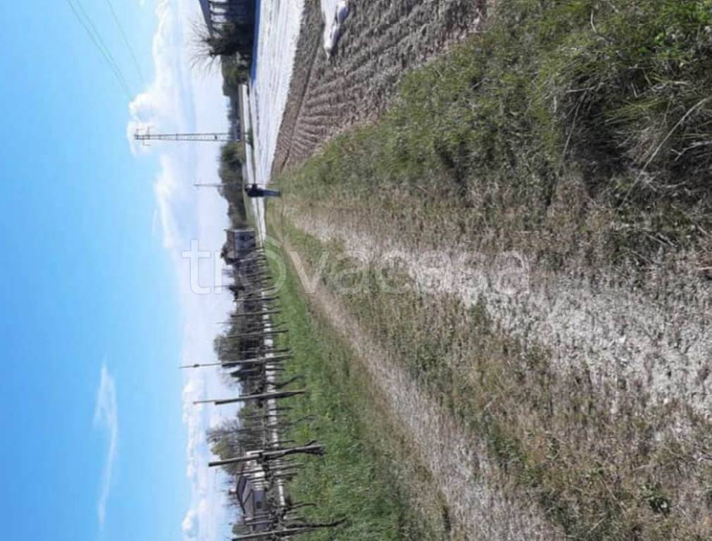 immagine annuncio 7 di 12