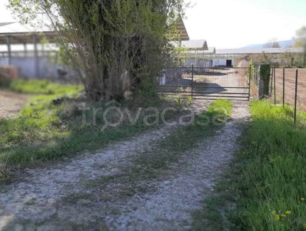 immagine annuncio 8 di 12