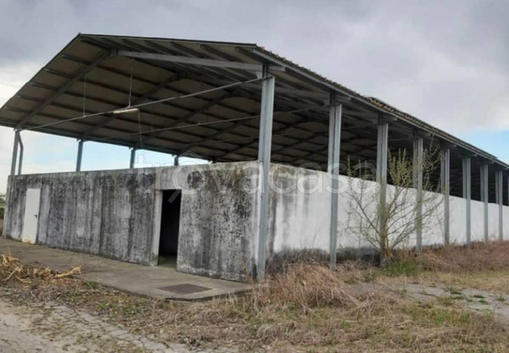 immagine annuncio 9 di 12