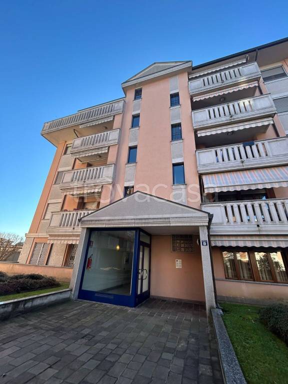 immagine annuncio 1 di 15