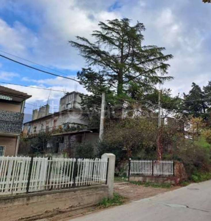 immagine annuncio 3 di 13